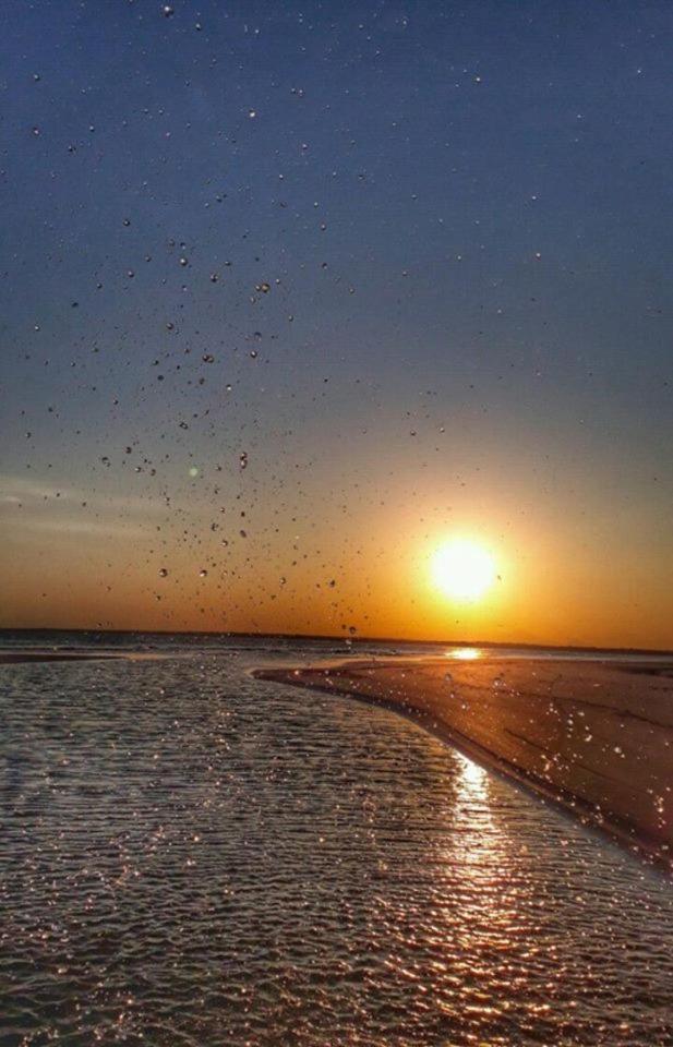 Pousada Praia Mansa - Ana E Agnaldo Superagui Exteriér fotografie